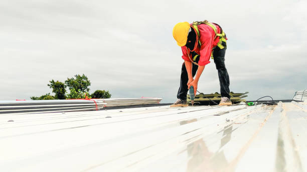 Best Rubber Roofing (EPDM, TPO)  in Applewood, CO