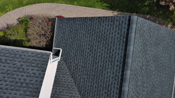 Best Roof Maintenance and Cleaning  in Applewood, CO