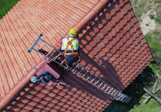 Best Roof Moss and Algae Removal  in Applewood, CO