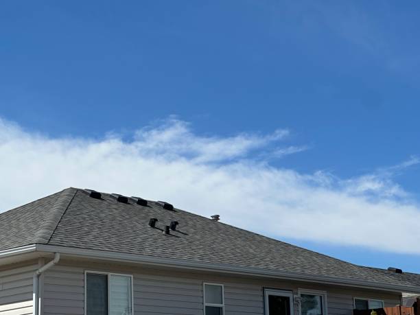 Best Chimney Flashing Repair  in Applewood, CO